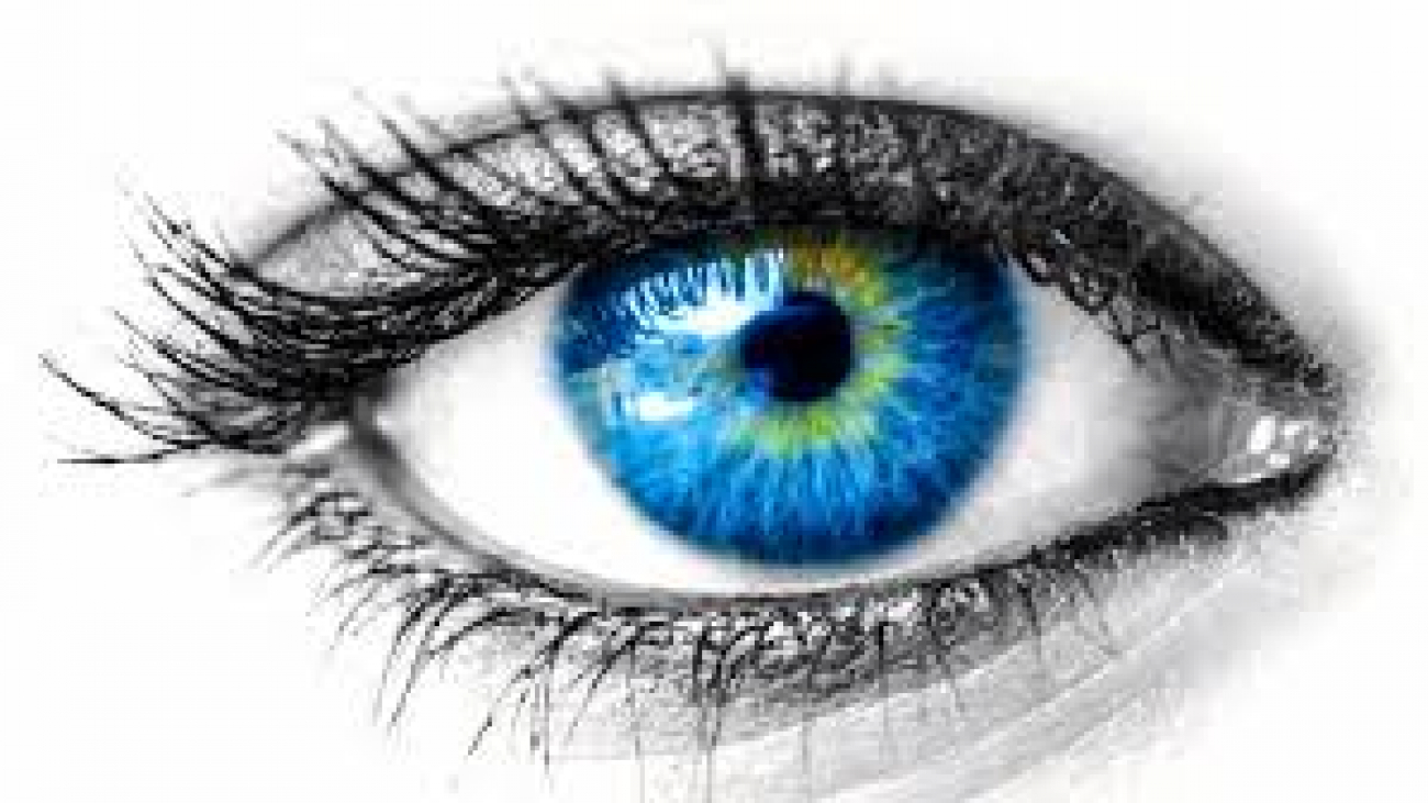 Eye