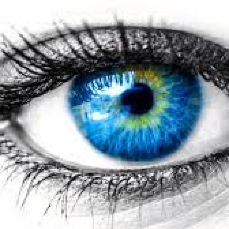 Eye